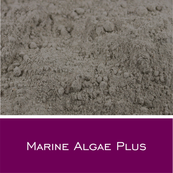 Marine Algae Plus