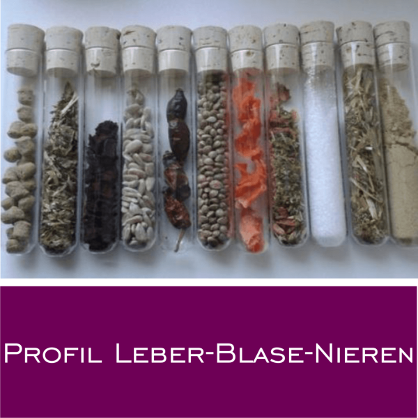 Profil Leber-Blase-Nieren