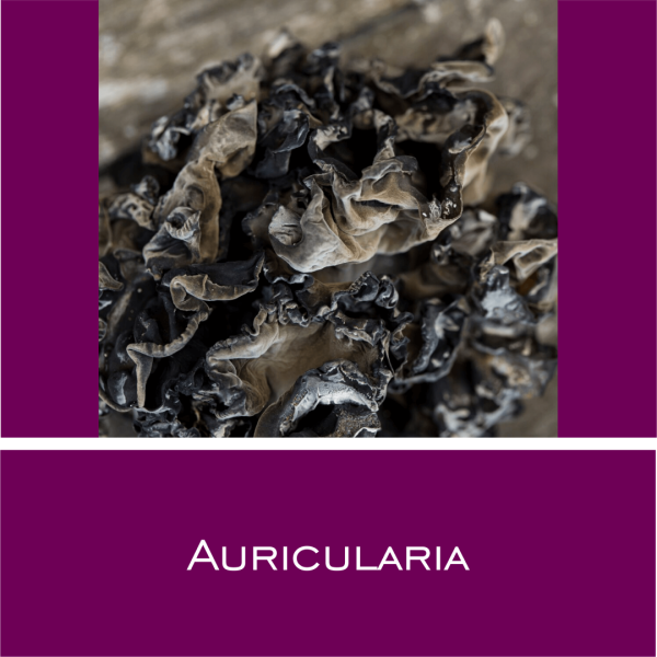 Auricularia - Vitalpilz-Pulver 100 g