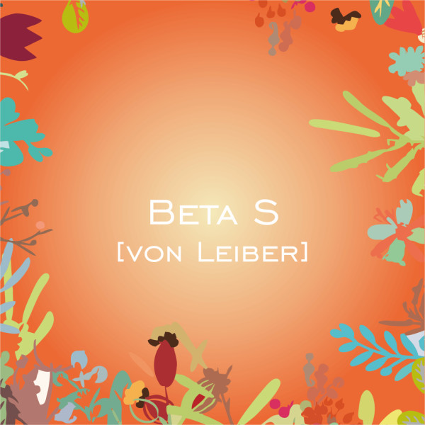 Beta-S® von Leiber