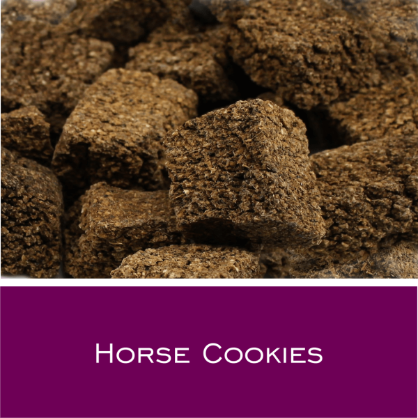 Horse-Cookies