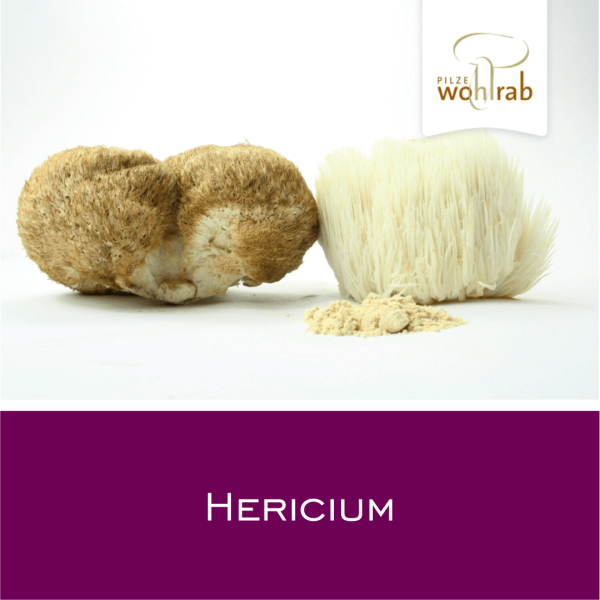 Hericium - Vitalpilz-Pulver 100 g