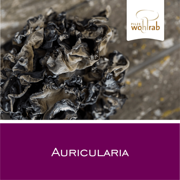 Auricularia - Vitalpilz-Pulver 100 g
