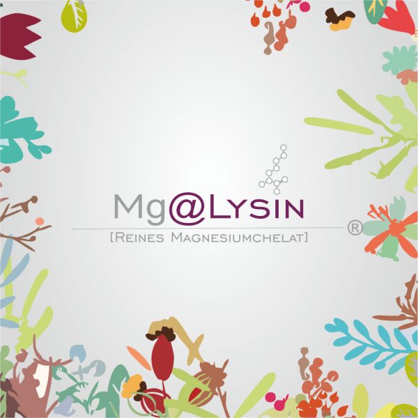 Mg@LYSIN Magnesiumchelat